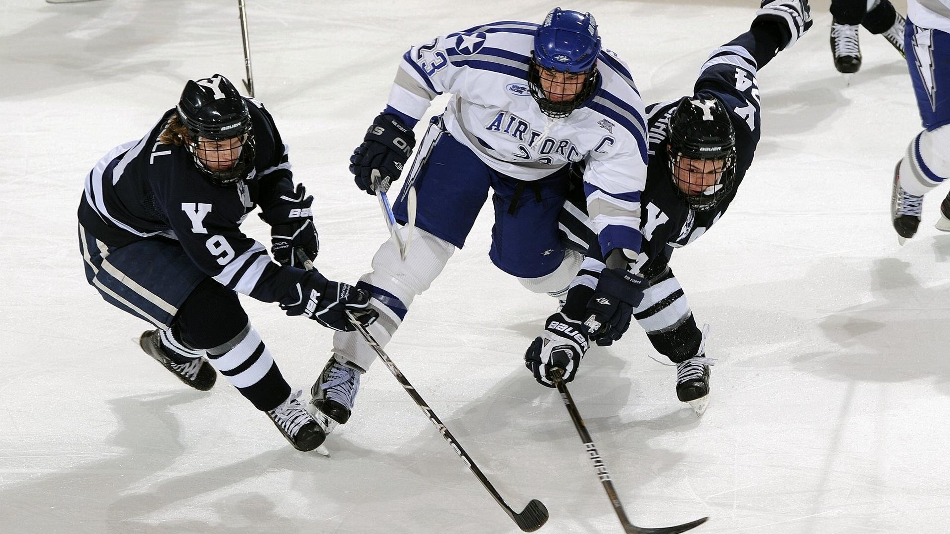 黄蜂队战术执行力提升明显，黄蜂队全称