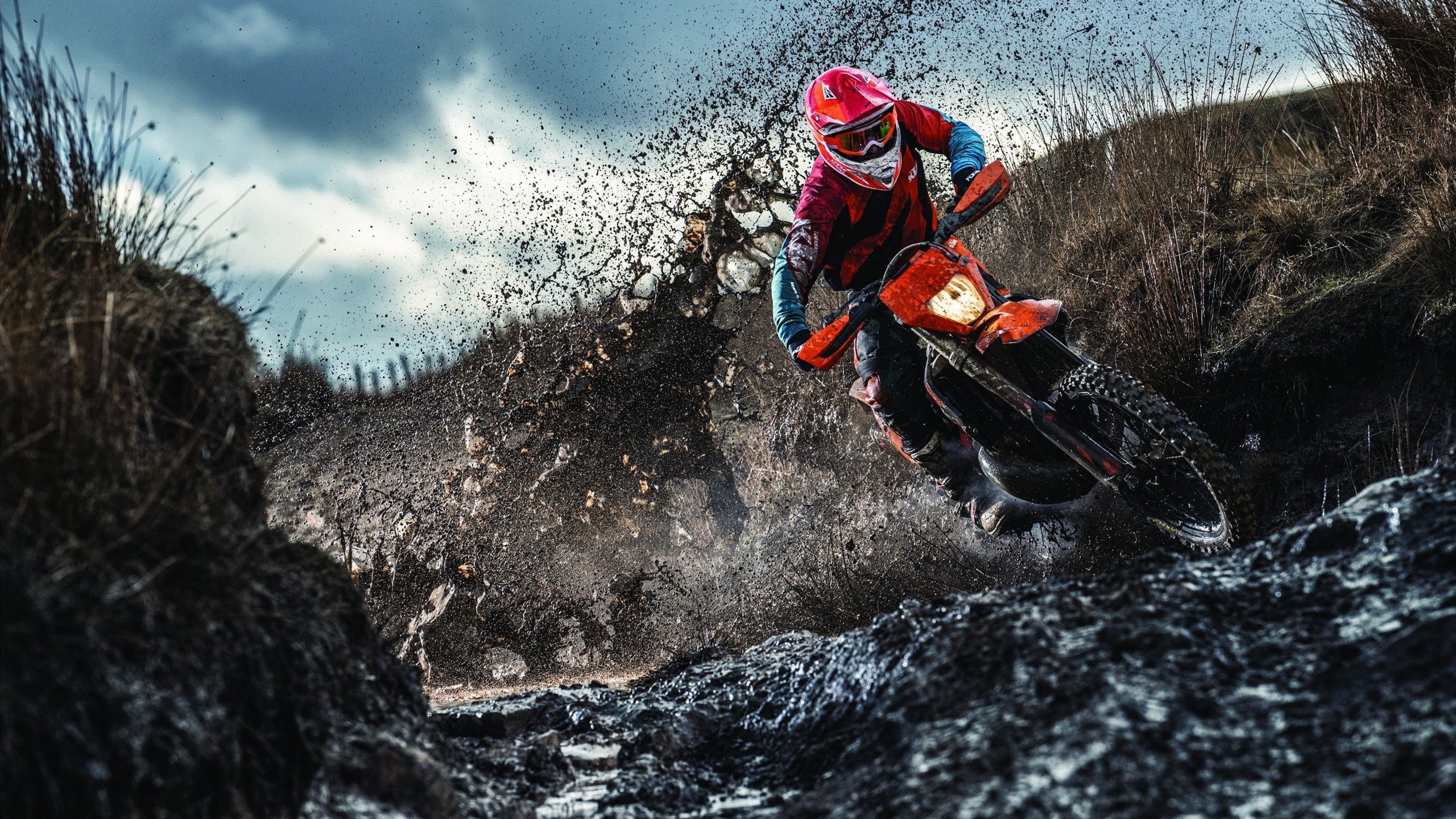 RNG新人多面手表现亮眼，rng官宣挂牌6人