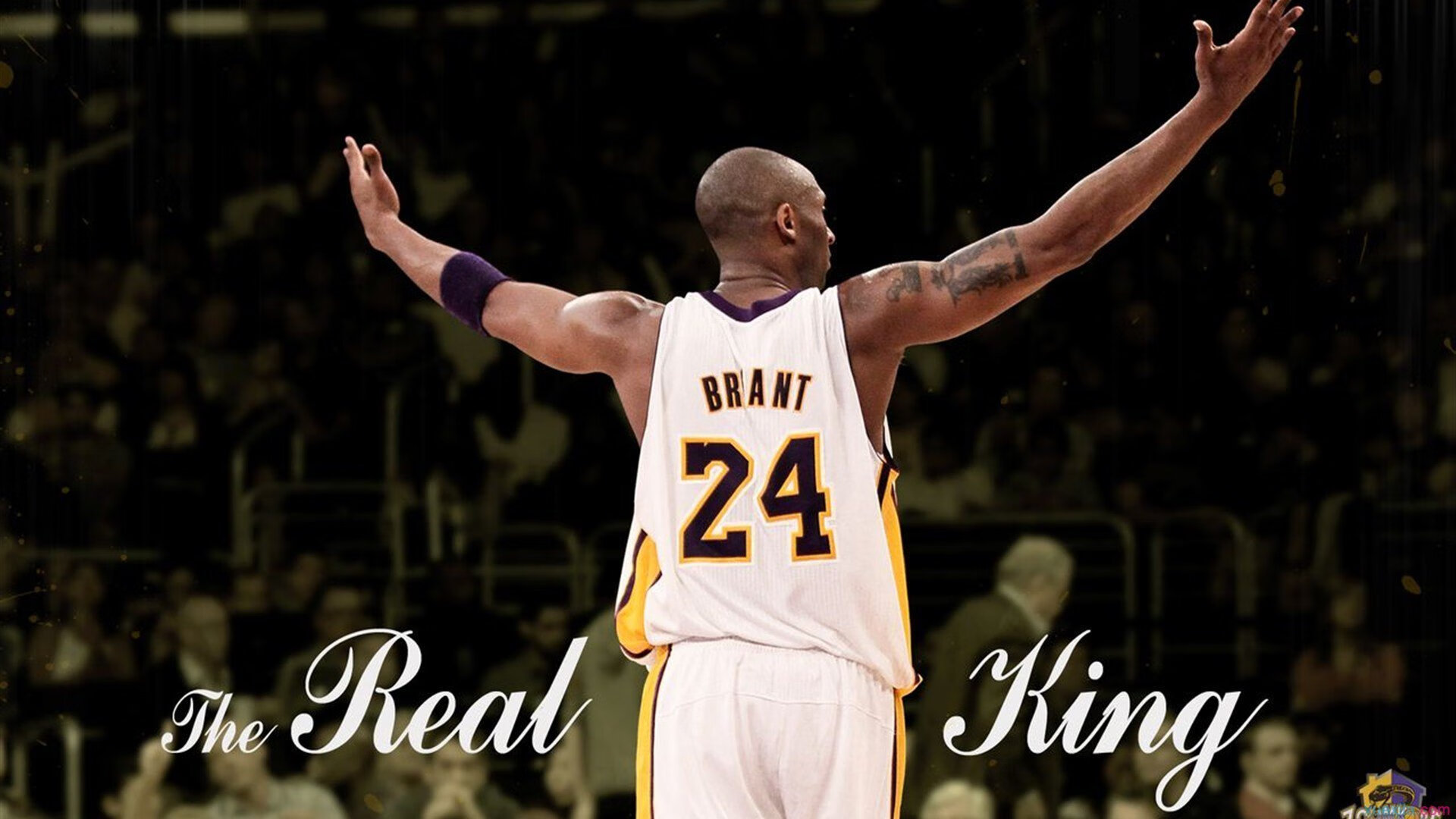 史蒂芬再战篮球场，雄鹿再次登顶总冠军，nba冠军 雄鹿